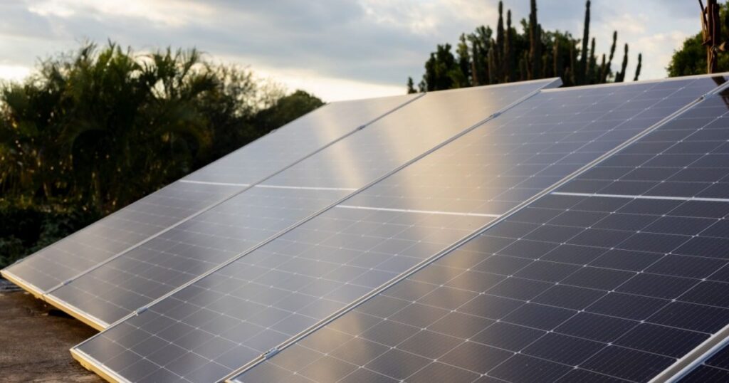 Panneaux solaires monocristallins installés sur une toiture plate